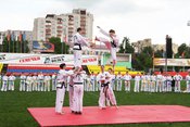 Фестиваль боевых искусств в Тамбове "Ударное шоу"