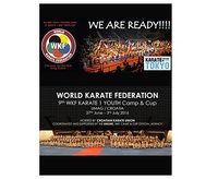 Сегодня стартует молодежный Кубок мира Karate1! Онлайн-трансляция 