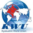 Пятое открытое Первенство мира KWU по киокусинкай