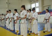 Спортивная федерация син-киокусинкай карате-до