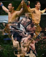UFC Fight Night 119: Дерек Брансон - Лиото Мачида. ВИДЕО боев