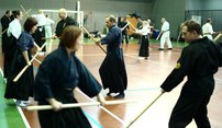 Сосотялся семинар и аттестация по традиционной технике бо-дзюцу и кобудо.