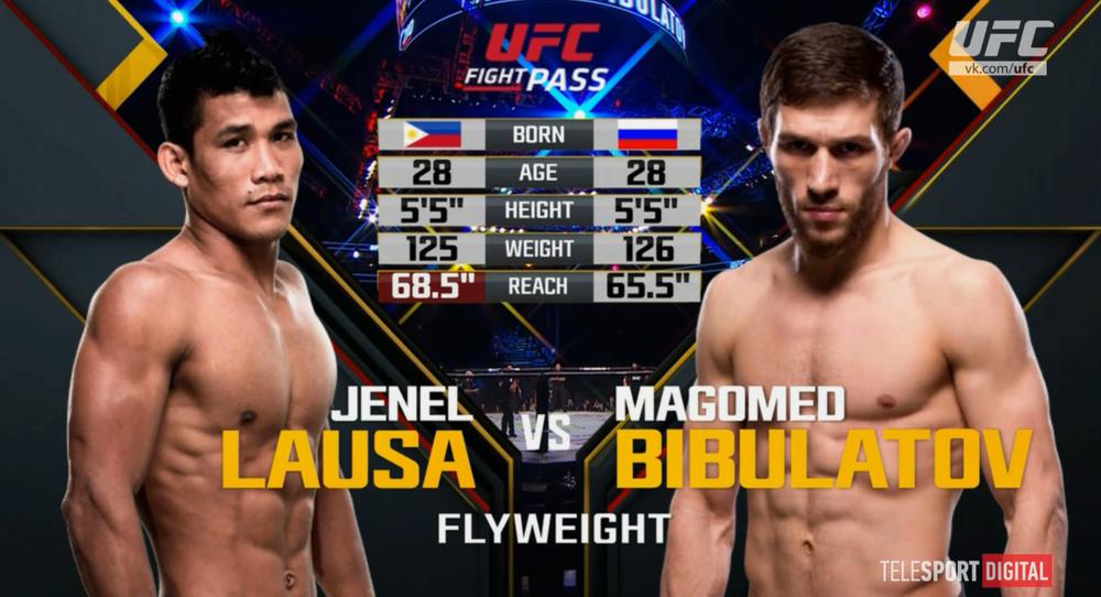 Магомед Бибулатов - Дженейл Лауса UFC 210
