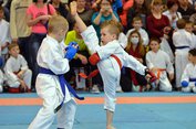 Маленькие герои олимпийского каратэ сразились за тверские призы