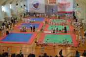 Открытый Кубок г. о. Тольятти по стилевому каратэ