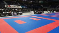 Чемпионат мира по каратэ WKF 2018. Прямая онлайн-трансляция - ДЕНЬ 2
