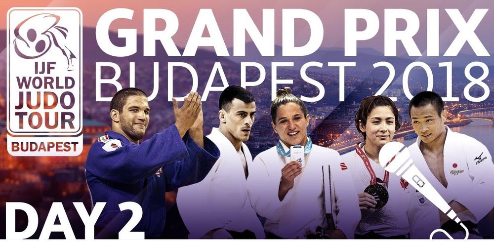Результат пошуку зображень за запитом "Budapest GP 2018 judo"