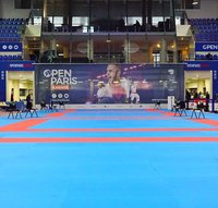 Премьер-Лига Karate1 2019: Париж. Прямая онлайн-трансляция - ДЕНЬ 1
