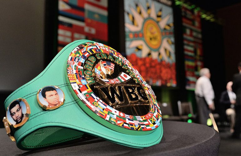 WBC правила веса на 2019 год