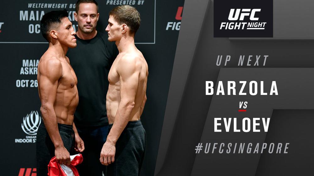 UFC Fight Night 162: Энрике Барзола vs. Мовсар Евлоев