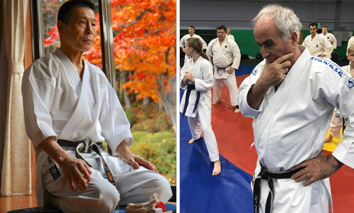 Школы каратэ: Запад против Японии