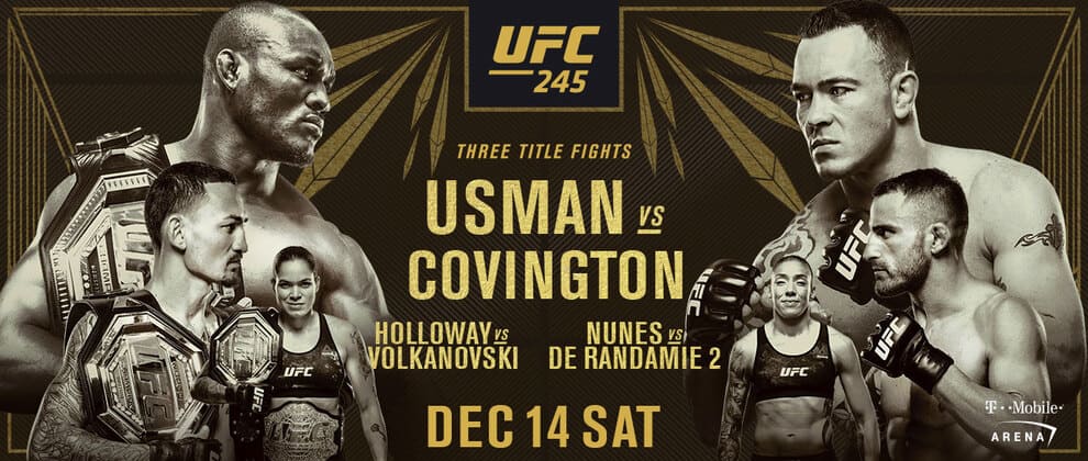 UFC 245: три "титульника" и два боя с россиянами. АНОНС главного ивэнта декабря