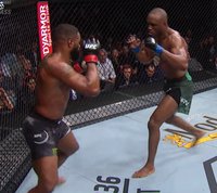 В ожидании UFC 245: Камару Усман vs. Тайрон Вудли (ВИДЕО)