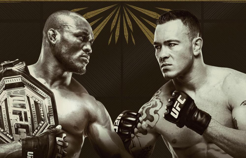 смотреть онлайн прямую трансляцию UFC 245 Камару Усман vs. Колби Ковингтон