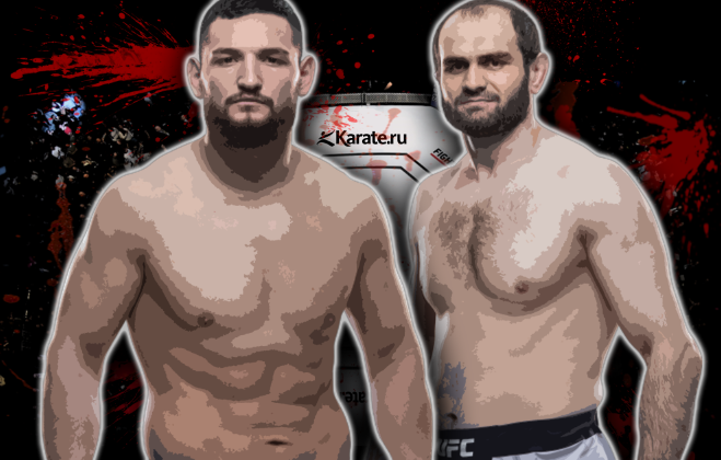 Сапарбек Сафаров - Николай Нигумериану UFC Fight Night 147