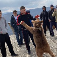 ВИДЕО. Хабиб Нурмагомедов снова поборолся с медведем