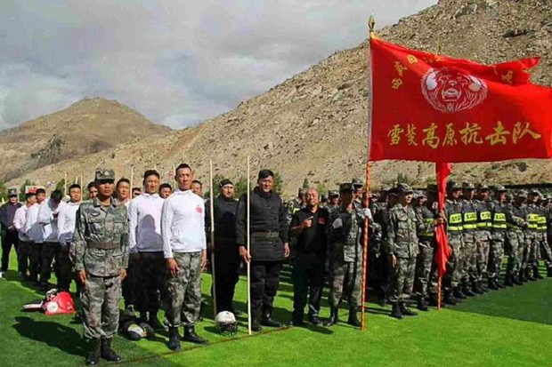 Тибетские мастифы Китай Индия конфликт на границе бой драка