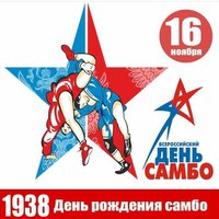 Самбо: Шестаков рассчитывает на авторитет Емельяненко и Нурмагомедова