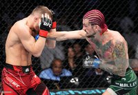 Петр Ян сенсационно уступил Шону О'Мэлли на турнире UFC 280