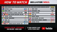 Где смотреть прямую трансляцию боя Магомедов - Микс на шоу Bellator 289