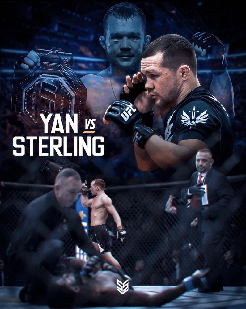 ян, стерлинг, UFC 273, реванш