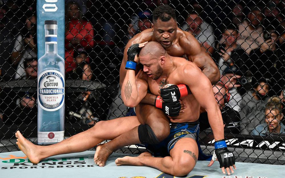 Какие бои ждут действующих чемпионов UFC