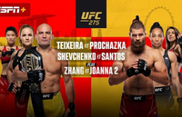 Валентина Шевченко защитила титул чемпионки UFC в Сингапуре