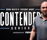 Портал karate.ru представляет новобранцев UFC – видео