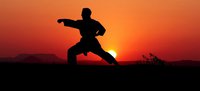 Смотрите видео самых ярких моментов 2022 года в Karate Combat