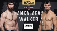Магомед Анкалаев – Джонни Уокер. Прямая трансляция боя на UFC 294, где смотреть онлайн