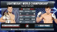 Усман Нурмагомедов заработал 150 тысяч долларов на турнире Bellator 300