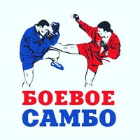 В России в свет вышла книга обо всех чемпионах мира по боевому самбо - видео