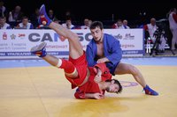 Сообщаем результаты чемпионата России и спортивному и боевому самбо