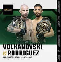 Смотрите видео пресс-конференции участников турнира UFC 290 с русским переводом