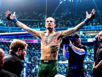 Шон О'Мэлли нокаутировал Алджамейна Стерлинга и стал новым чемпионом UFC в легчайшем весе