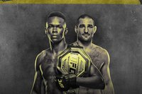 Портал Karate.ru представляет результаты турнира UFC 293