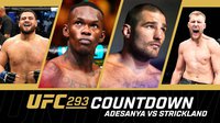 Представляем видео обратного отсчёта бойцовского шоу UFC 293 из Австралии