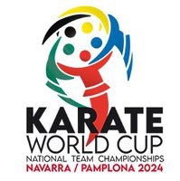 Прямая трансляция финальных матчей командного чемпионата мира WKF – где смотреть онлайн из Испании