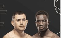 UFC Fight Night 263: Стив Гарсия – Дэвид Онама. Прямая трансляция, где смотреть онлайн