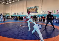 Видео массовой драки на чемпионате ХМАО в Сургуте, Югра