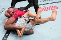 Вячеслав Борщёв уступил Терренсу Маккинни удушающим приемом в первом раунде на UFC 317 – видео