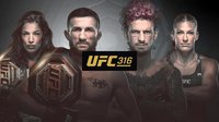 Портал Karate.ru представляет результаты турнира UFC 316