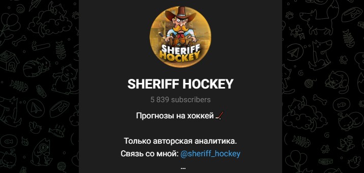 SHERIFF HOCKEY отзывы