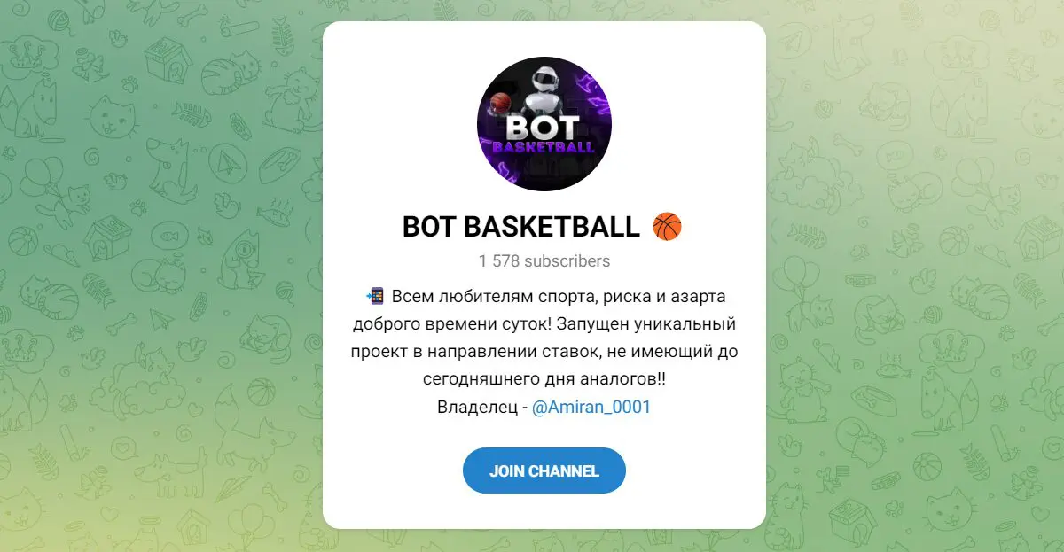 BOT BASKETBALL