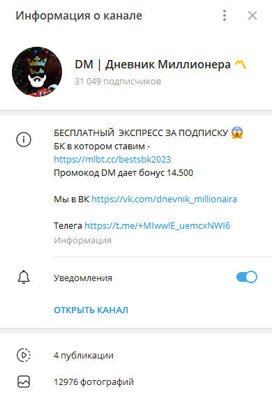 DM Дневник Миллионера телеграм