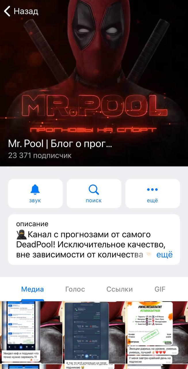 Mr Pool