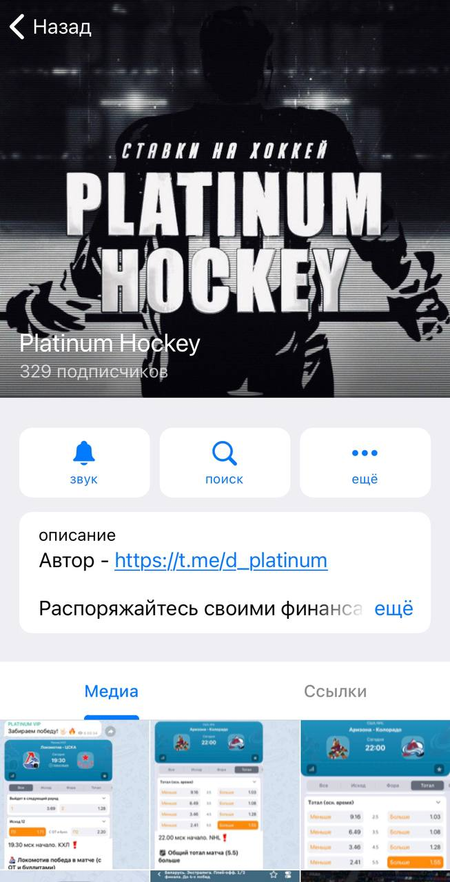 Платинум Хоккей