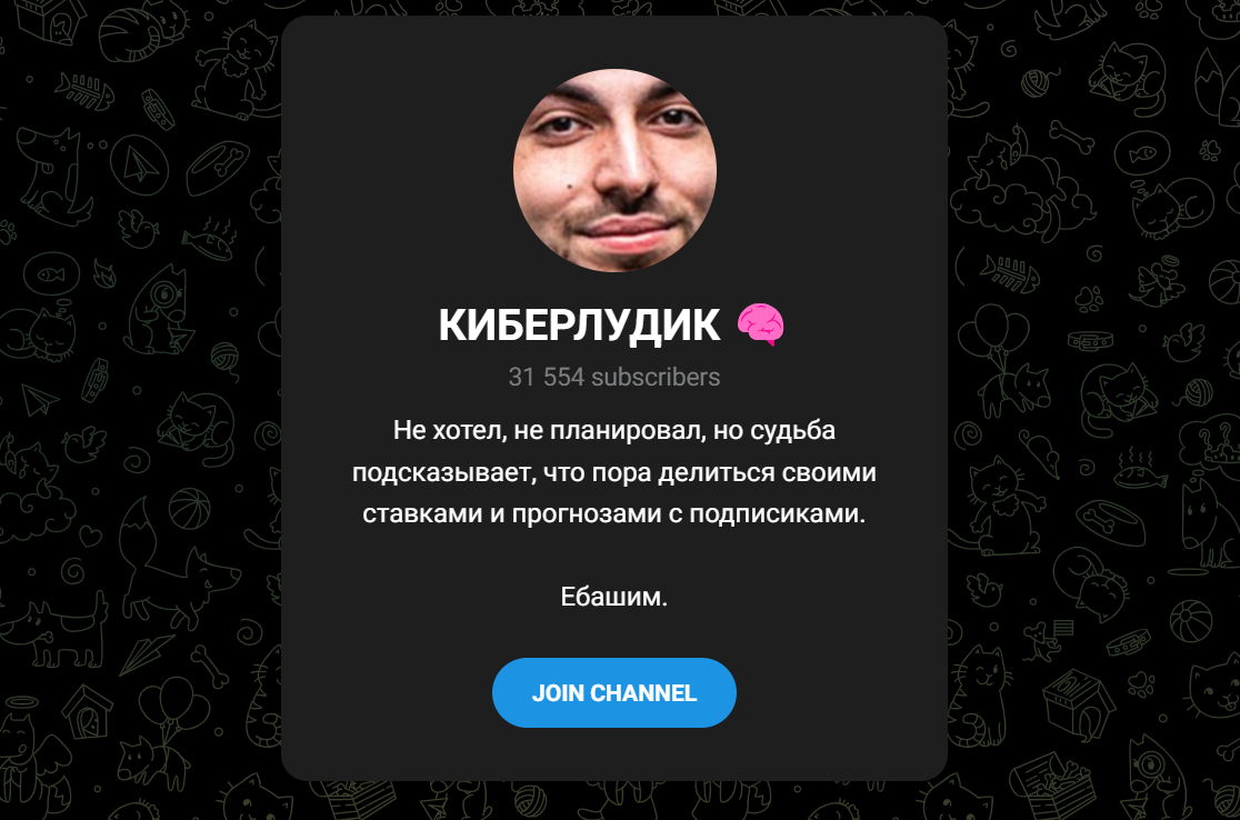 Киберлудик