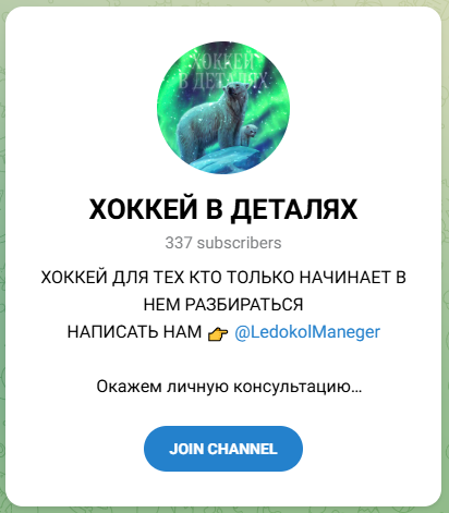Хоккей в деталях