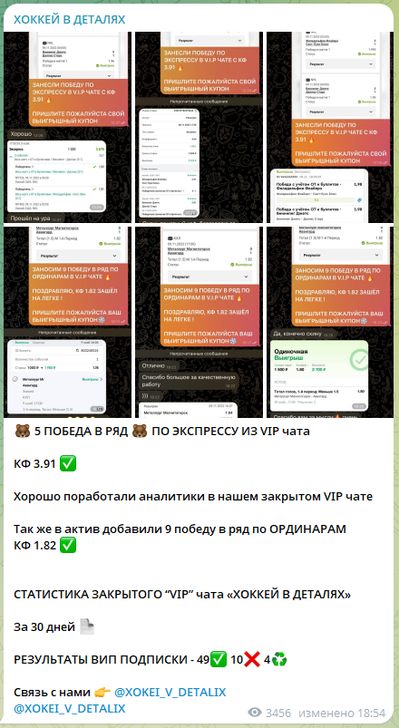 Хоккей в деталях телеграмм